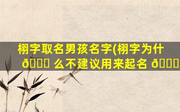 栩字取名男孩名字(栩字为什 🐝 么不建议用来起名 🐅 )